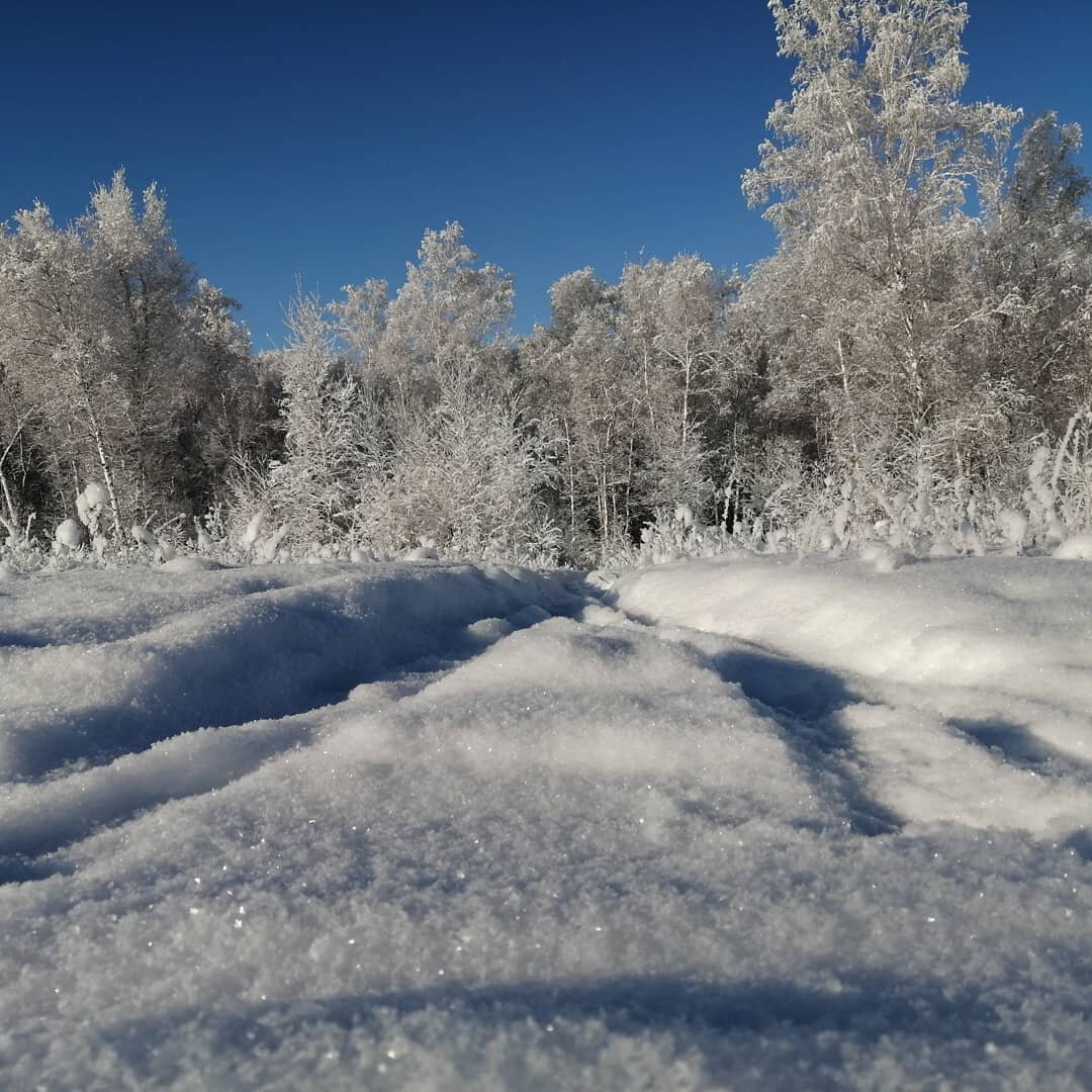 Photo #4024237