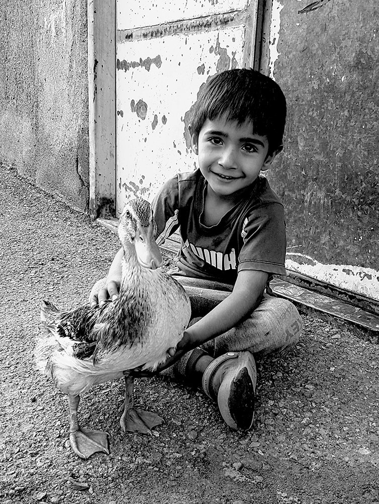 Photograph by Amir Ramezani