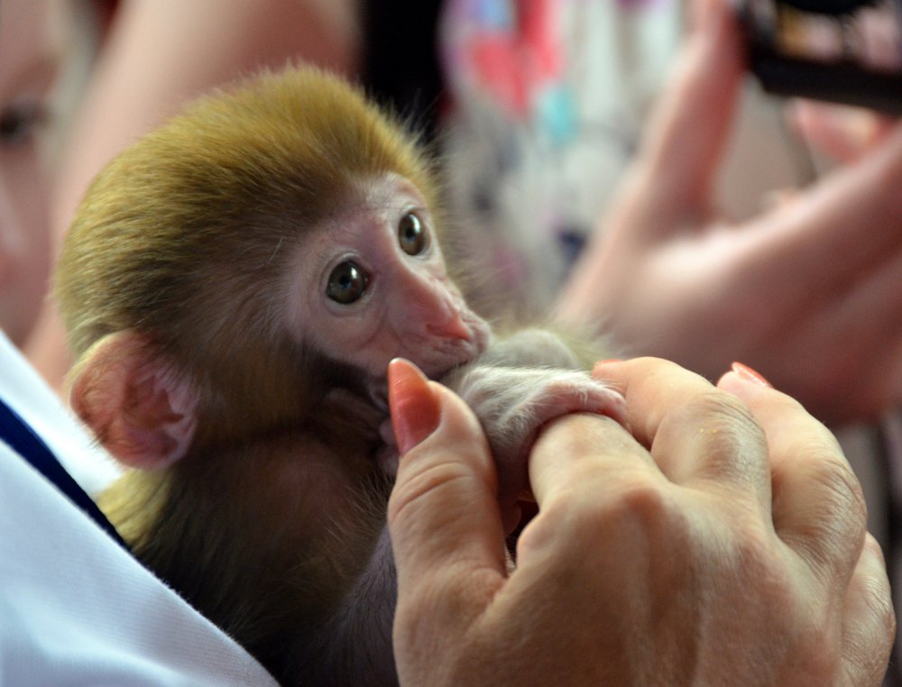Photograph by Александр Карпенко