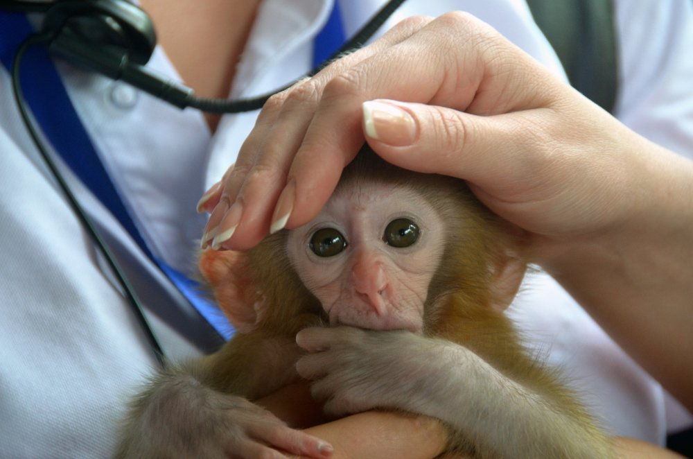 Photograph by Александр Карпенко