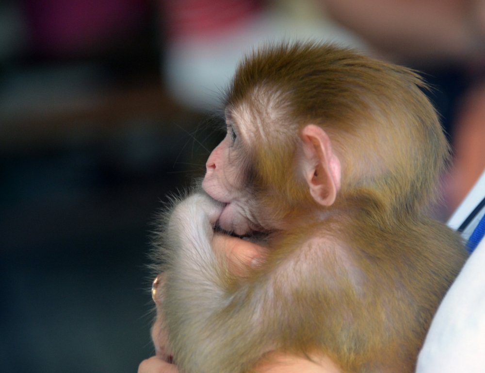 Photograph by Александр Карпенко