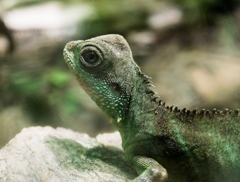 Photograph by Ольга Линк