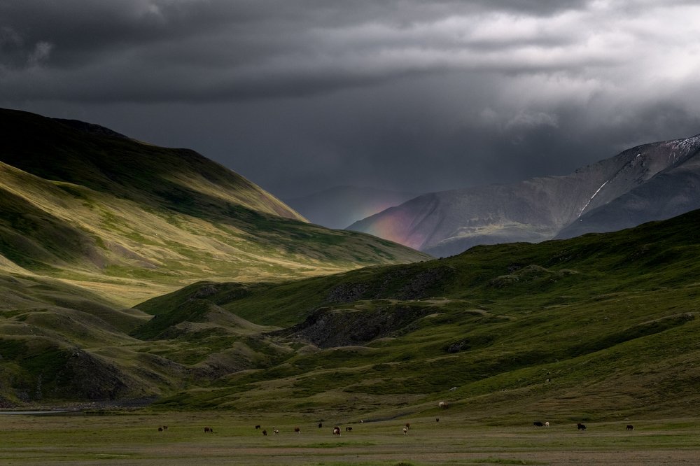 Photograph by Екатерина Климова