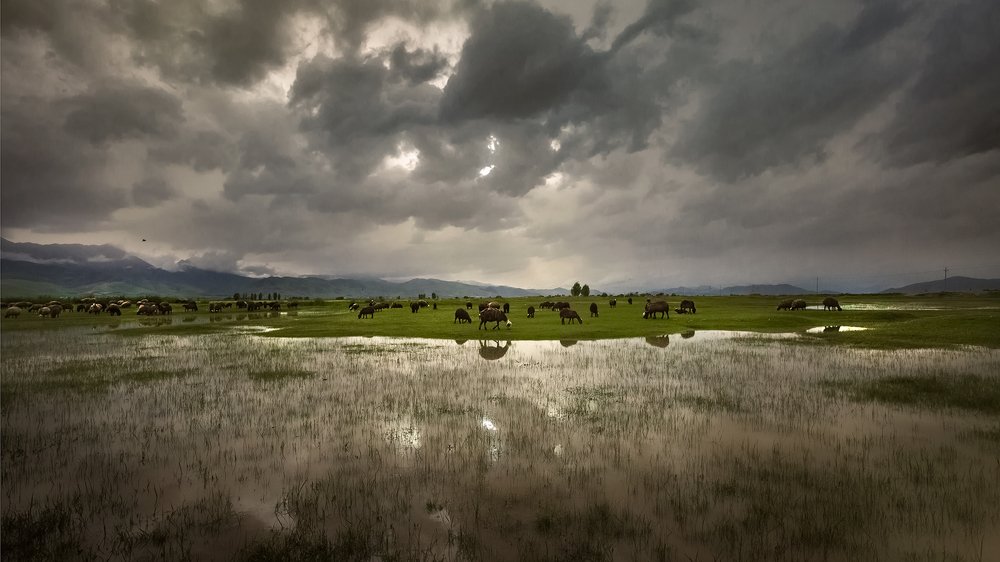 Photograph by Abbas Hamidi