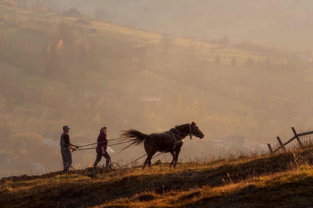 Фотография автора Ольга Рудченко