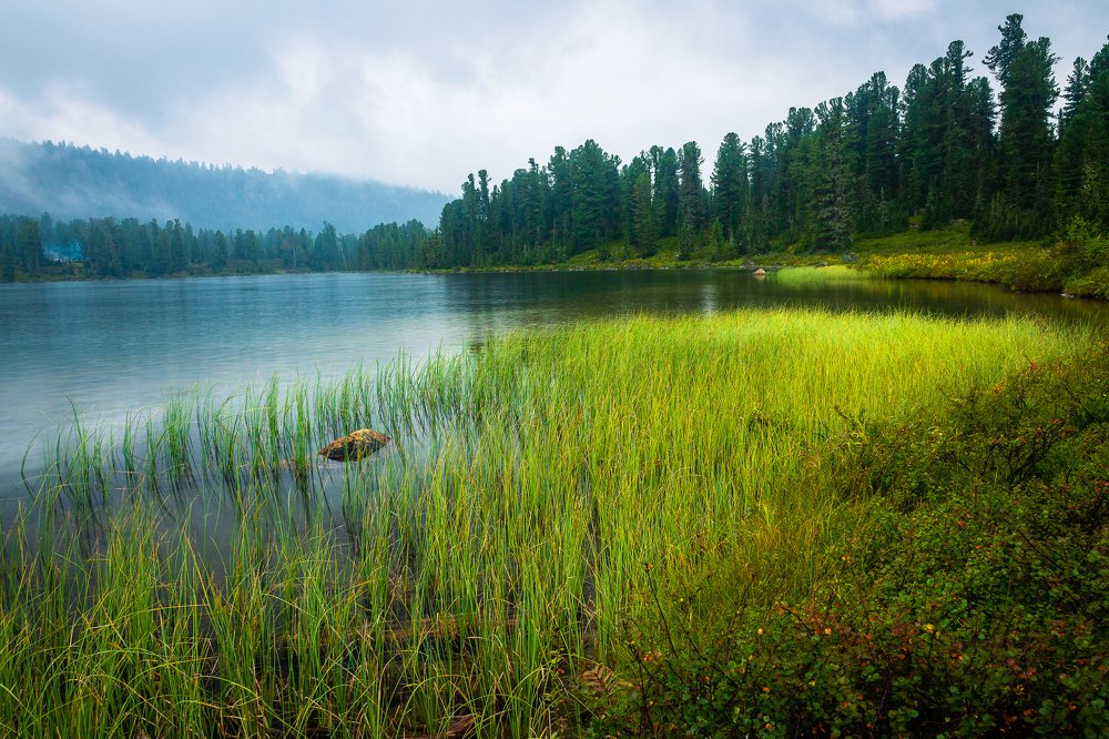Photograph by Евгений Танцюра