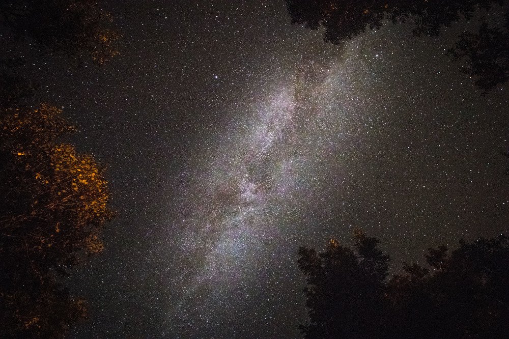 Photograph by Andrea Vukovic