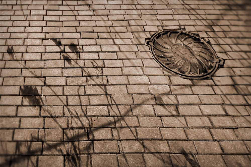 Photograph by Николай Васильев