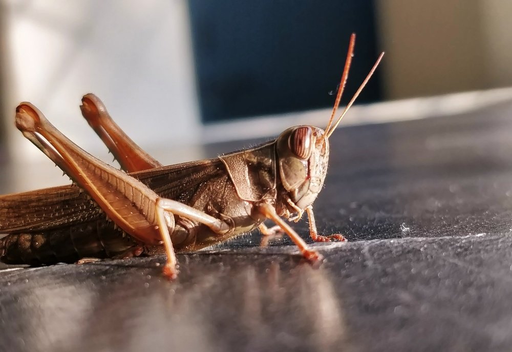 Photograph by Nikhil Gaikwad