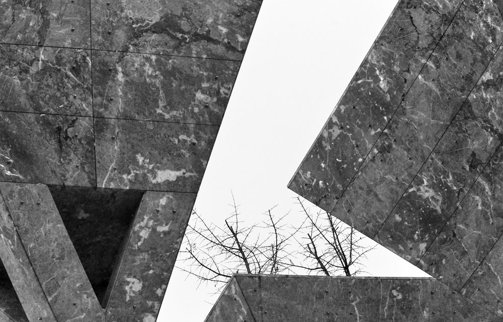 Photograph by maja zaplotnik