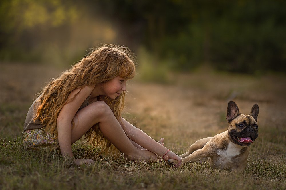 The girl and the dog