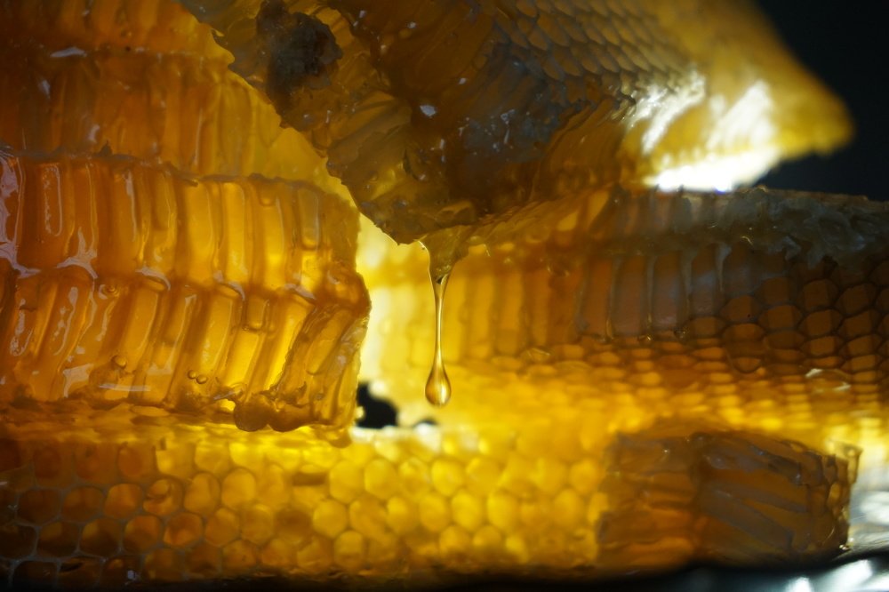 Пчелиные паттерны