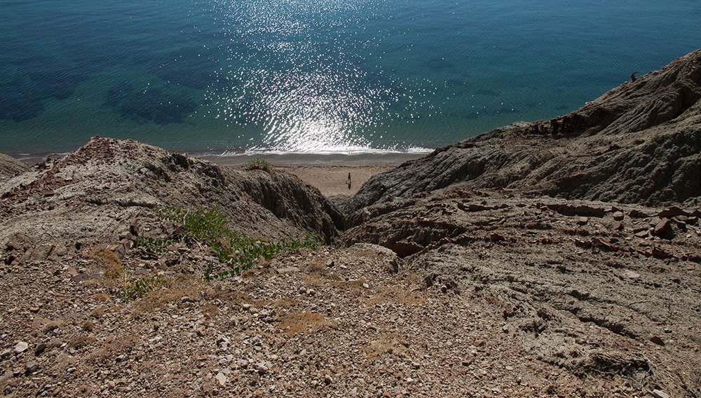 Photograph by Галина Щипакина