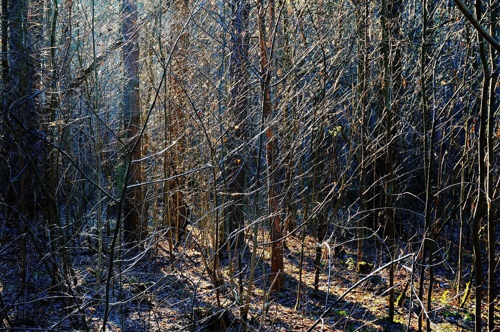 Фотография автора Valery Bel@kov