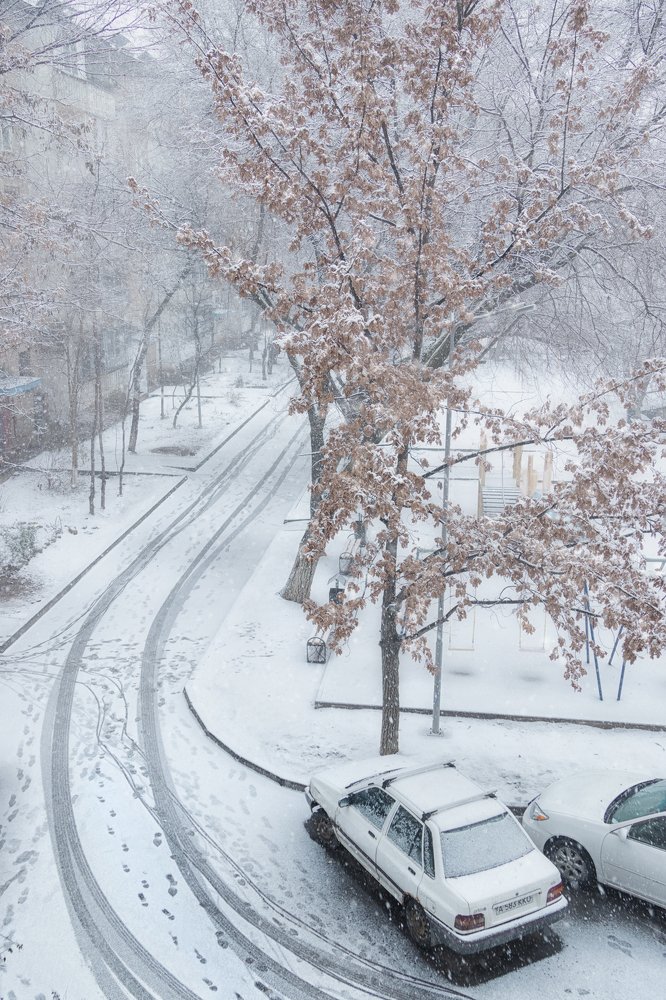 Утро. Двор в снегу.
