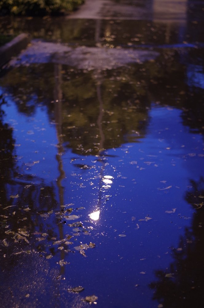 Photograph by Михаил Обертаев