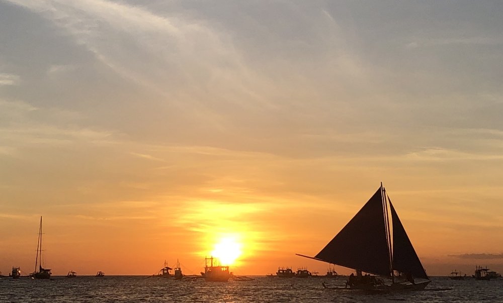 Photograph by Alvin Cells