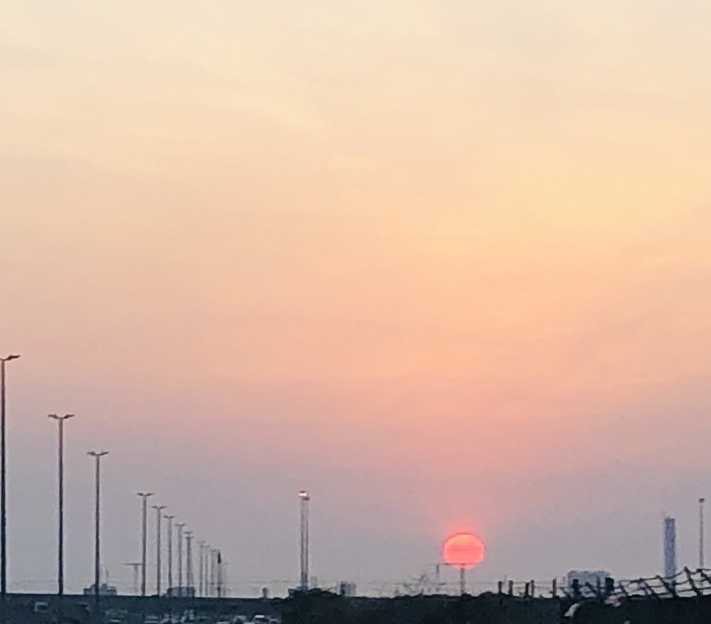 Photograph by Alvin Cells