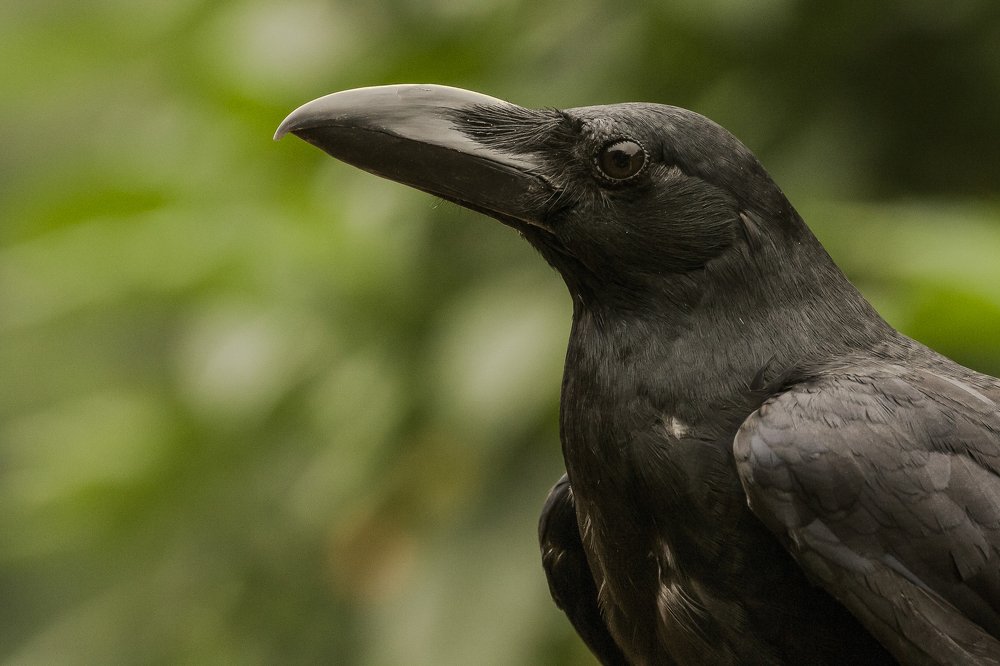 Photograph by Ari Susianto