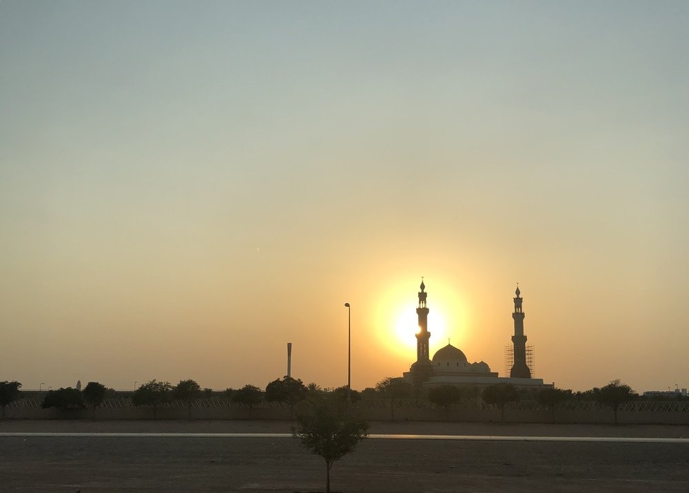 Photograph by Alvin Cells