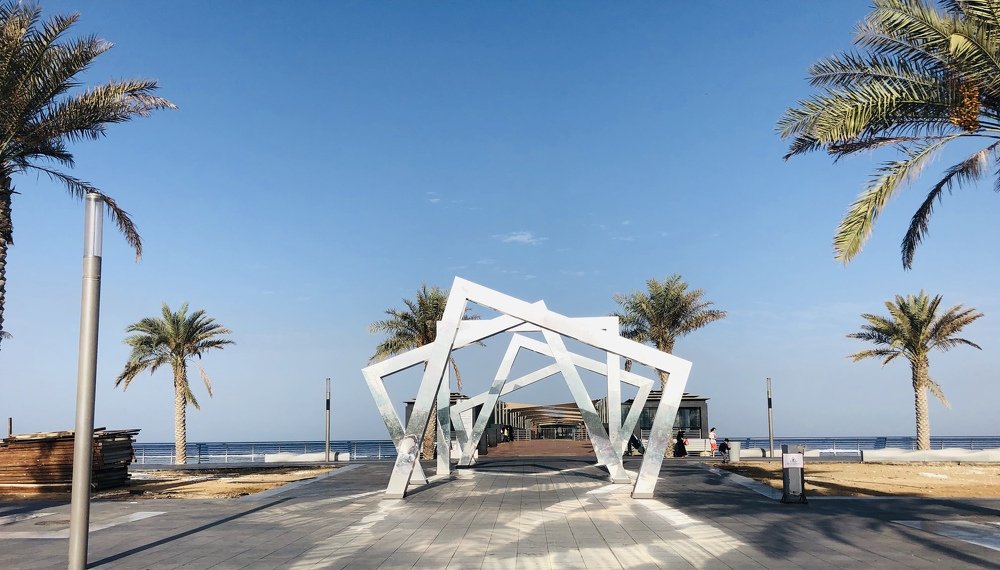 Photograph by Alvin Cells