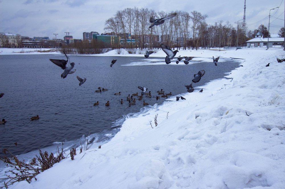 Photograph by Евгения Сосновская