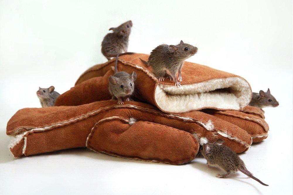 Photograph by Иван Пархоменко