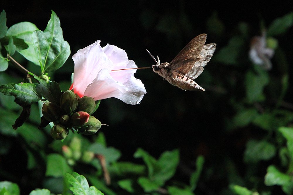 Photograph by Иван Пархоменко