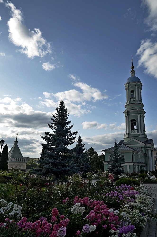 Photograph by Stevo Dragić