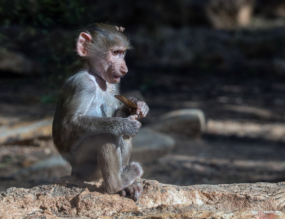 Фотография автора Alex Grigorjev