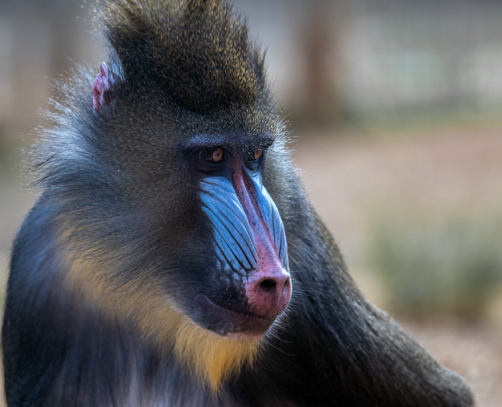 Photograph by Alex Grigorjev