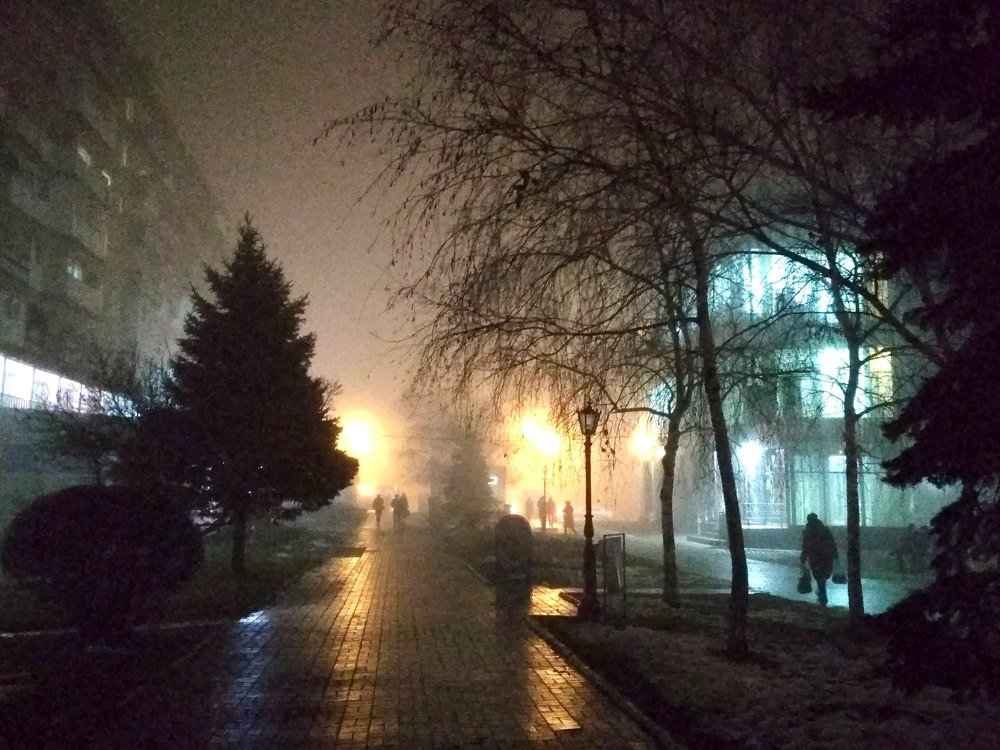 Photograph by Елена Лаушкина