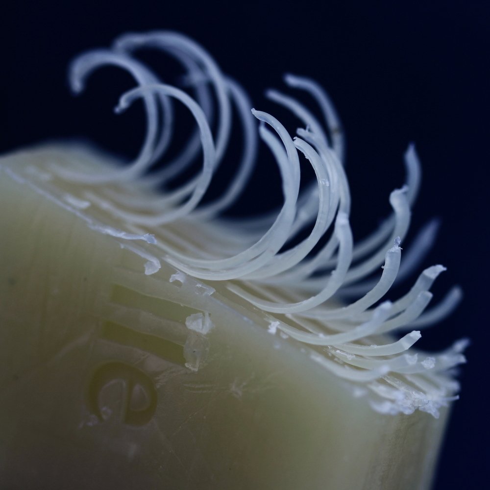 Photograph by Яна Ленчевская