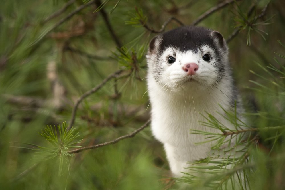 Photograph by Александра Савельева