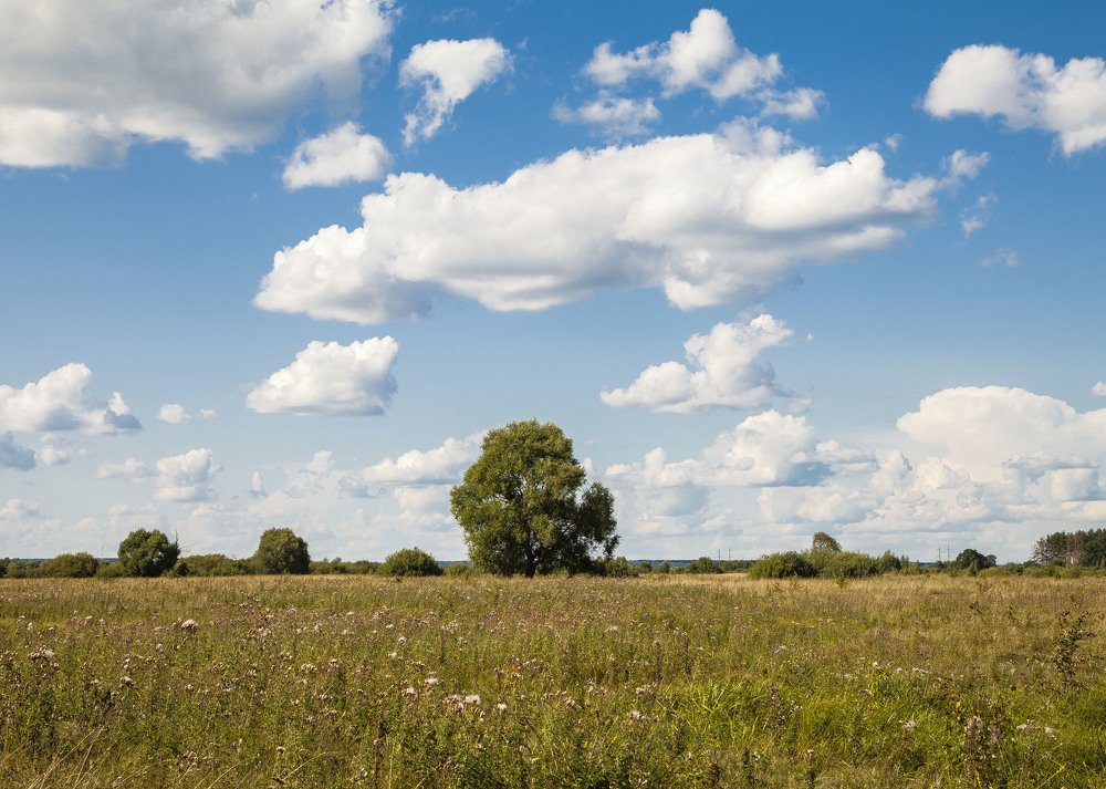 Photograph by Галина Шеватурина