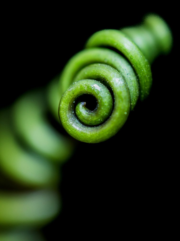 Photograph by Яна Ленчевская