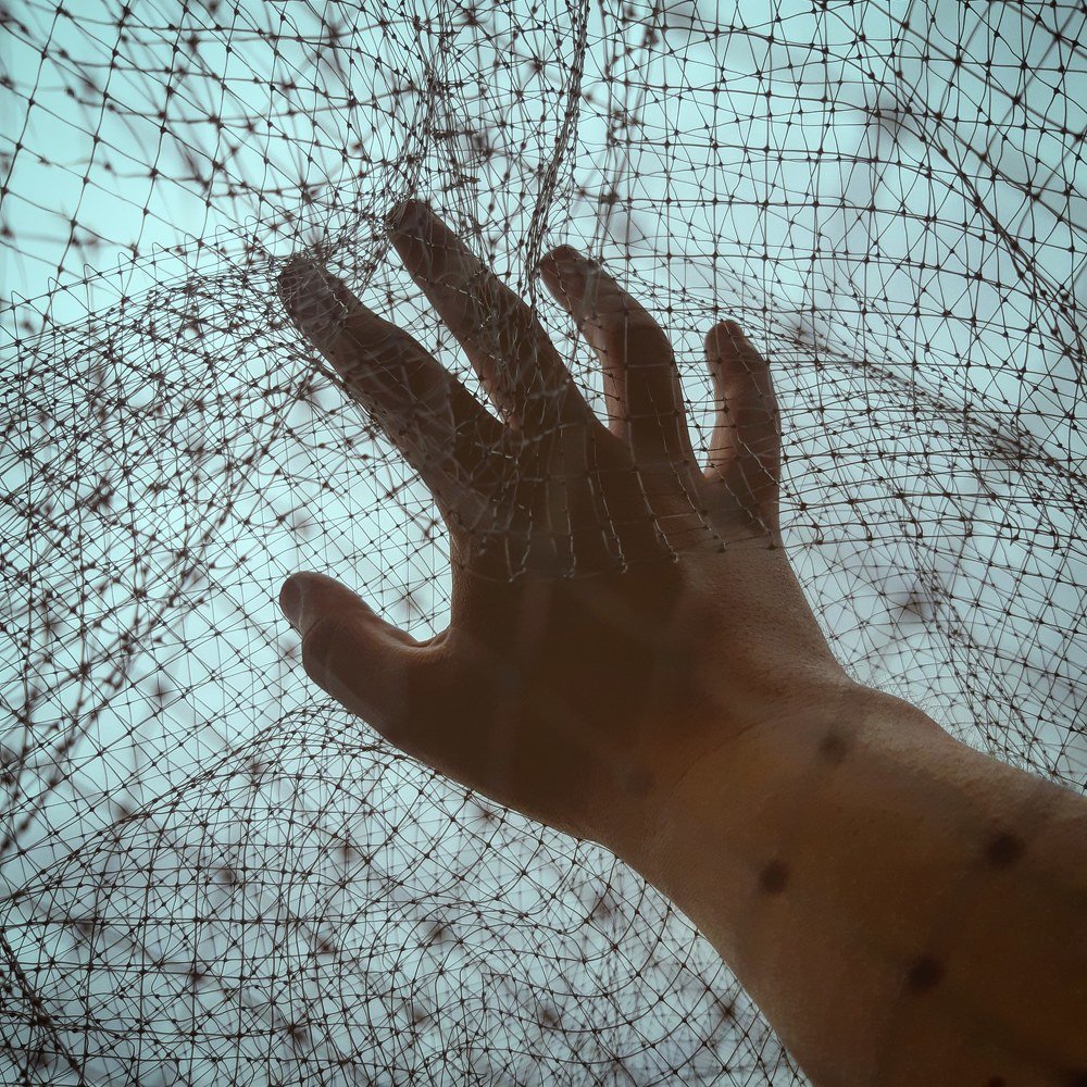 Photograph by Алексей Трубин