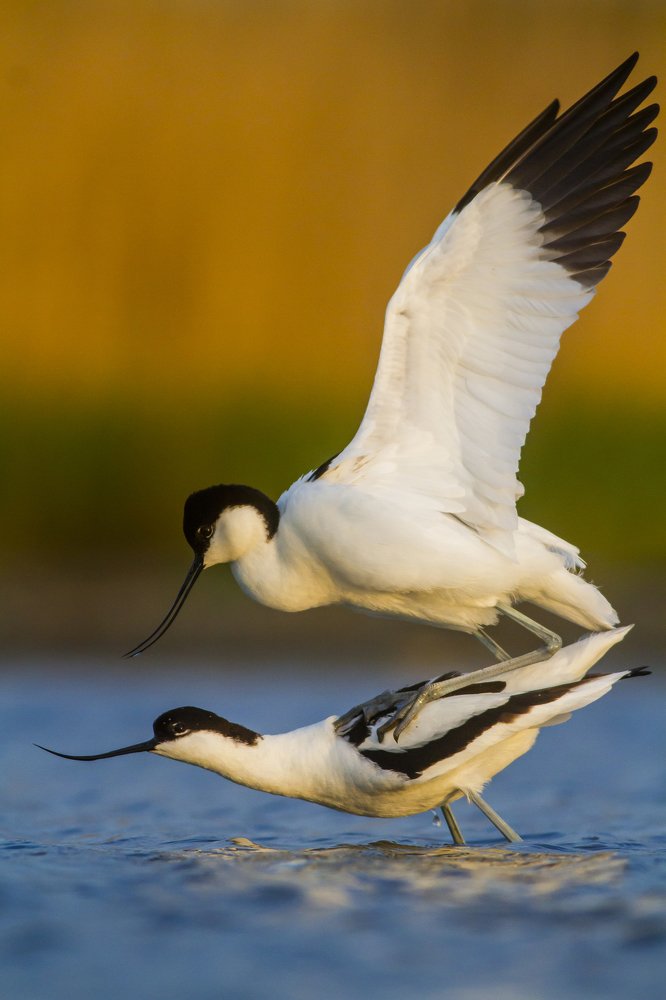 Photograph by Flora Jakab