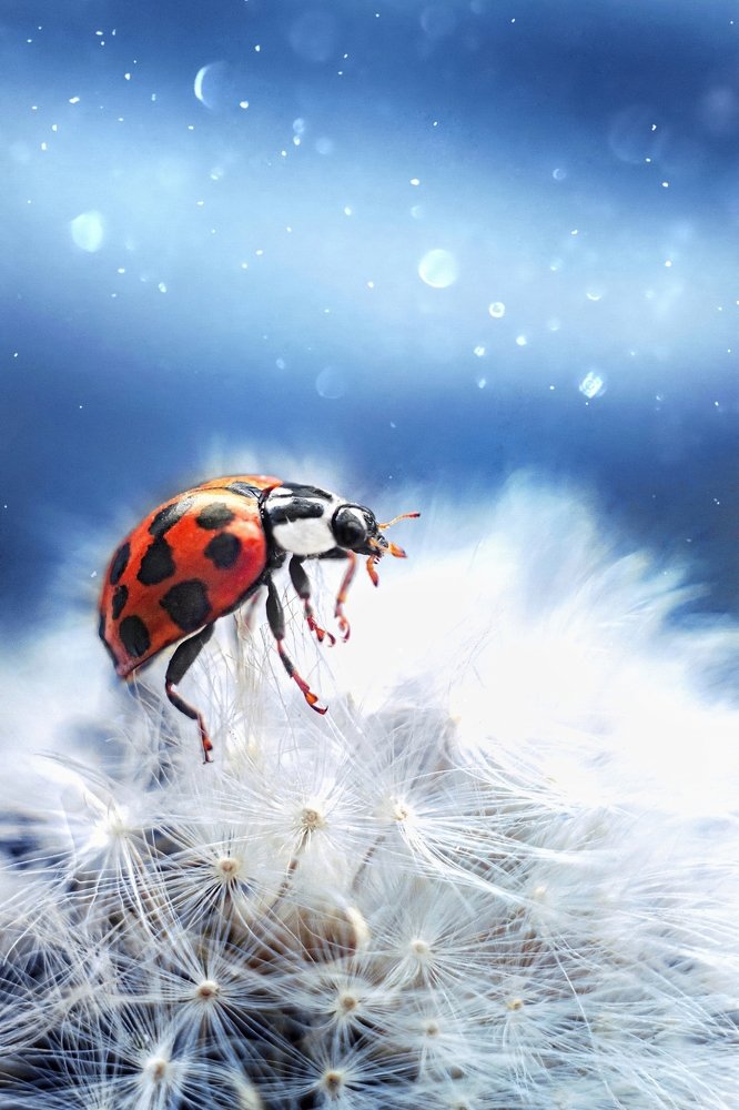 Photograph by Евгений Горланов