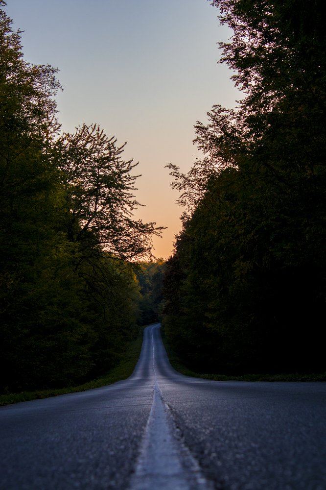 Photograph by Andrea Vukovic