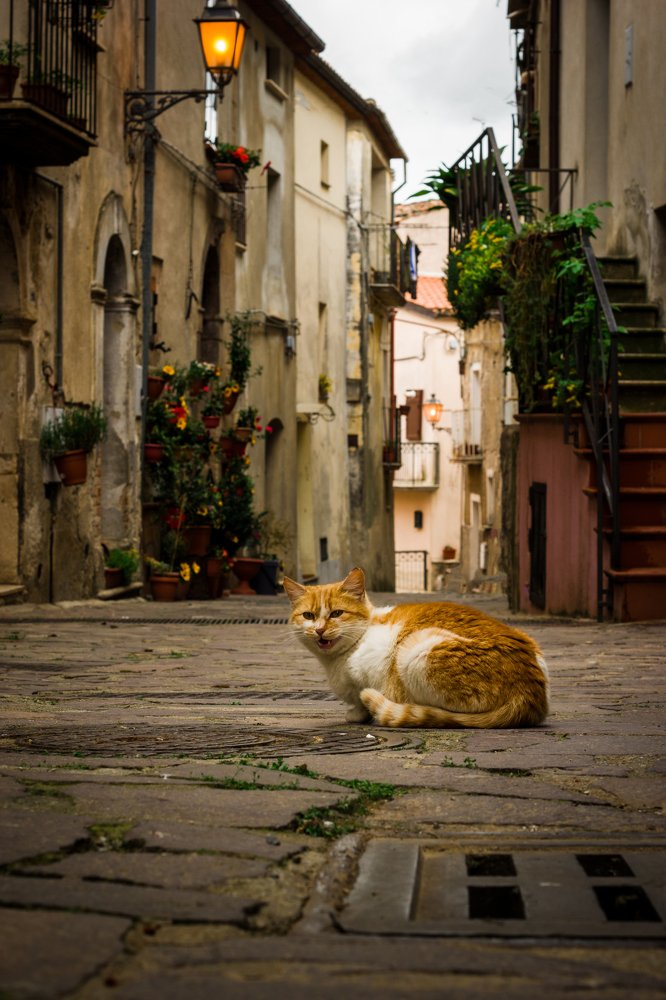 Photograph by Andrea Vukovic