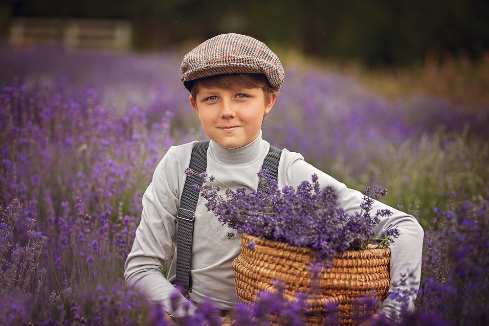 На лавандовой ферме