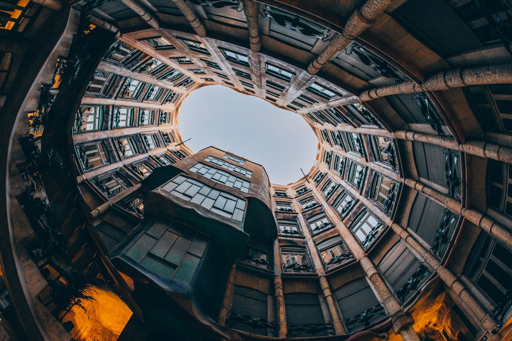 Photograph by Дмитрий Трепольский