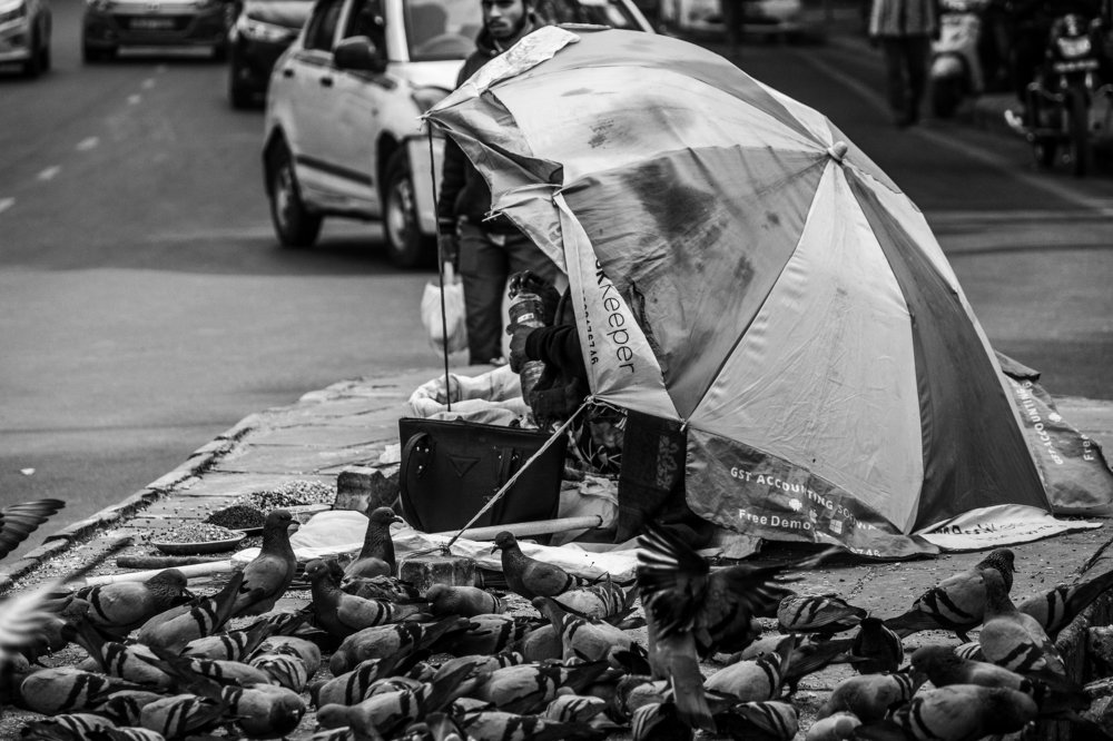 Photograph by Animesh