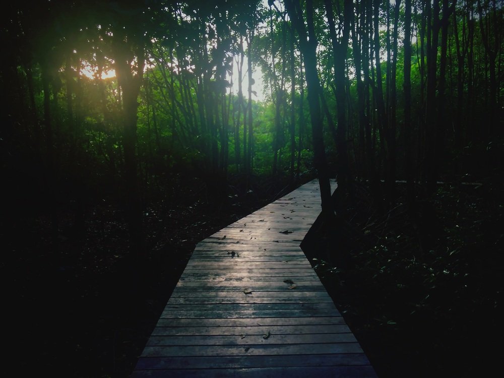 Photograph by Nur Amin Abd Rahim