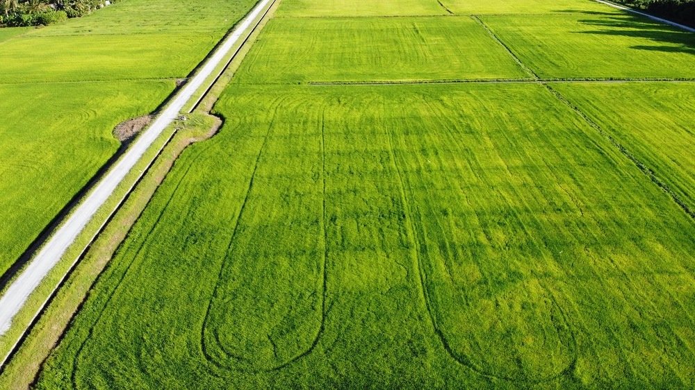 Photograph by Nur Amin Abd Rahim