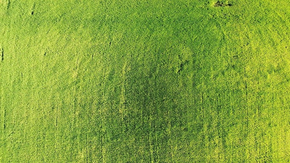 Photograph by Nur Amin Abd Rahim