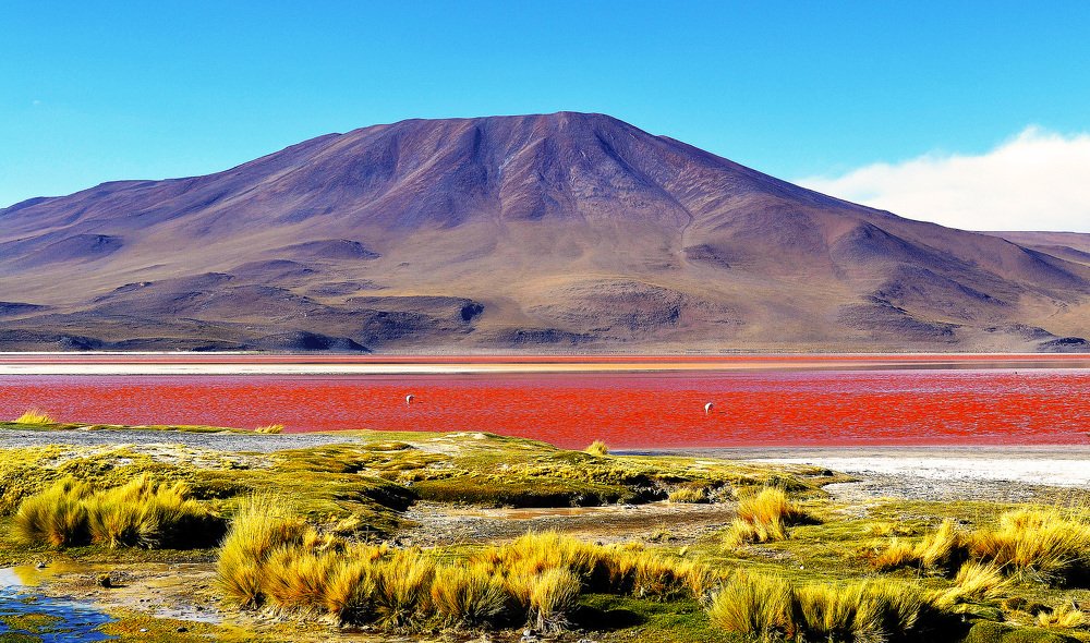 Вулканы Лагуны Колорада