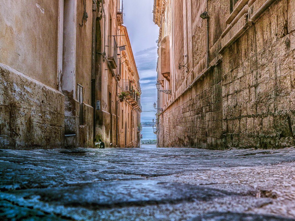 Photograph by Svetozar Dobrichkov