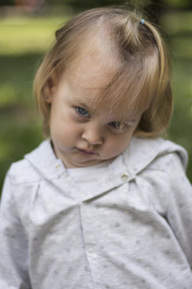 Photograph by Svetozar Dobrichkov